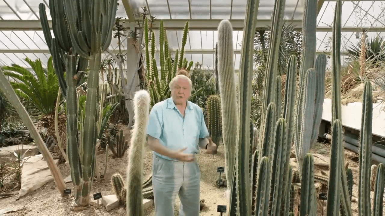 App interface showing video with interactive captions